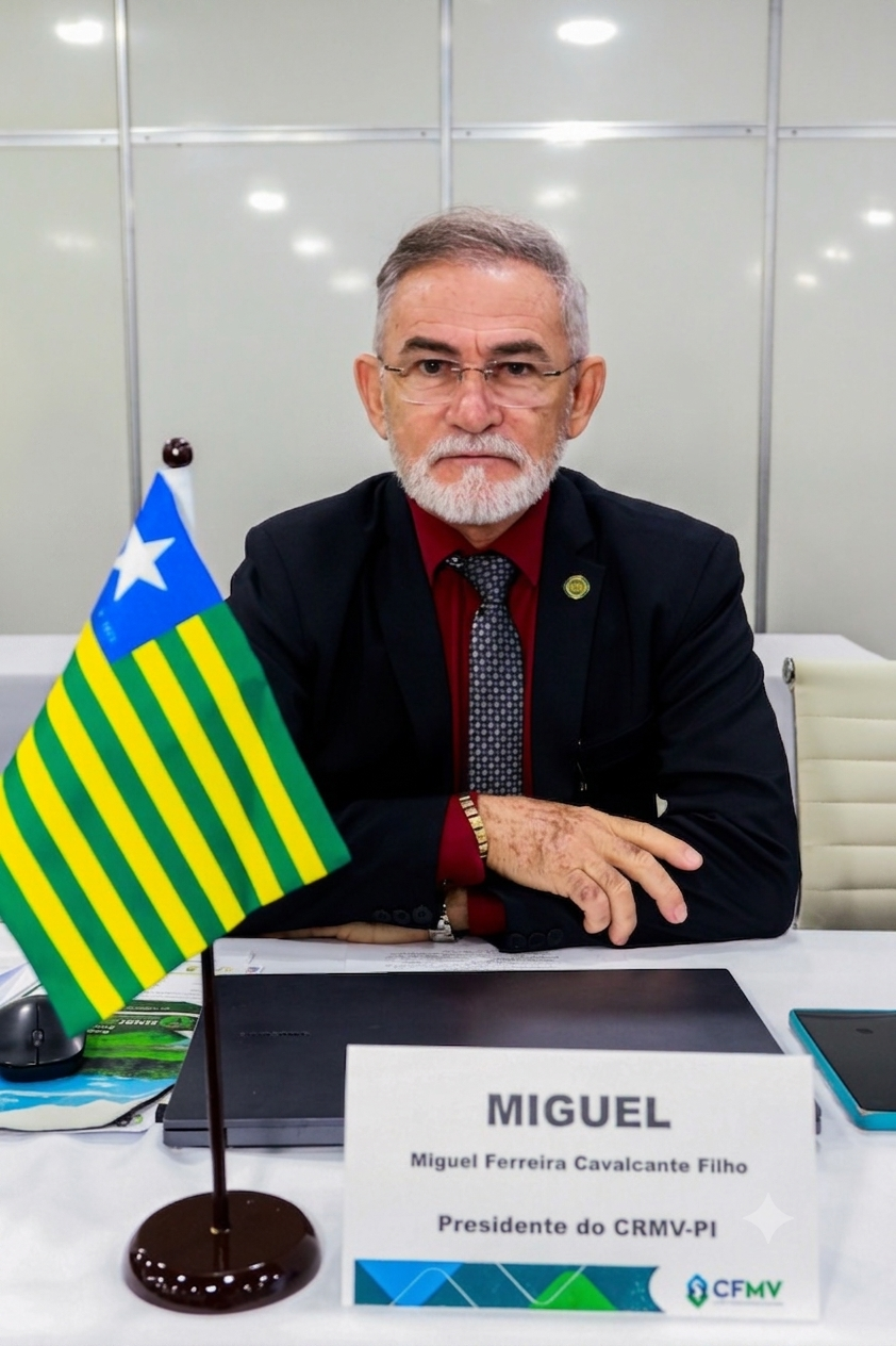 Miguel Ferreira Cavalcante Filho